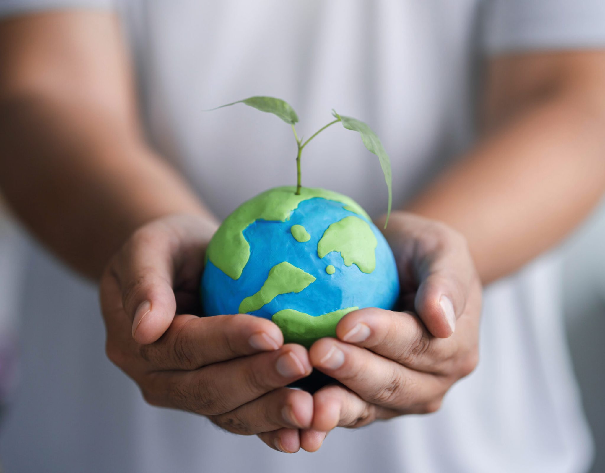 man holding a globe with a green sapling love the world concept love the world concept sprouts grow above the earth new life, environment, sustainable life, zero waste, plastic free, earth day,
